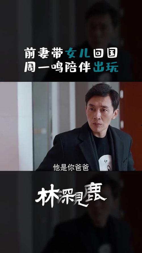 周老板最新爆料视频播放,揭秘行业黑幕，引发热议！