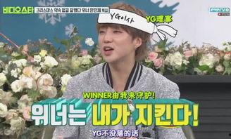 社长最新爆料消息,最新爆料背后的惊人真相