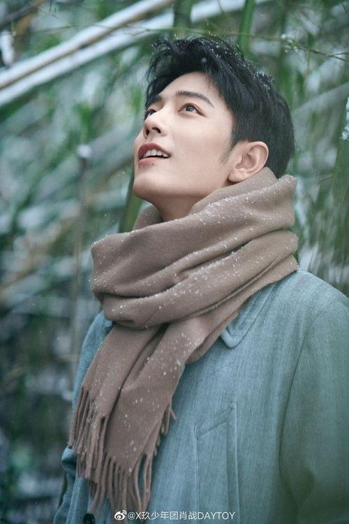 杨紫肖战最新大爆料,幕后故事大公开