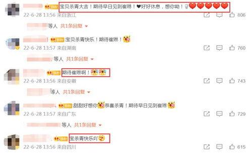 许凯景甜最新爆料新剧,甜蜜爱情与悬疑推理交织