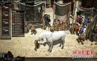 马黑爆料最新视频,事件真相与幕后黑手浮出水面